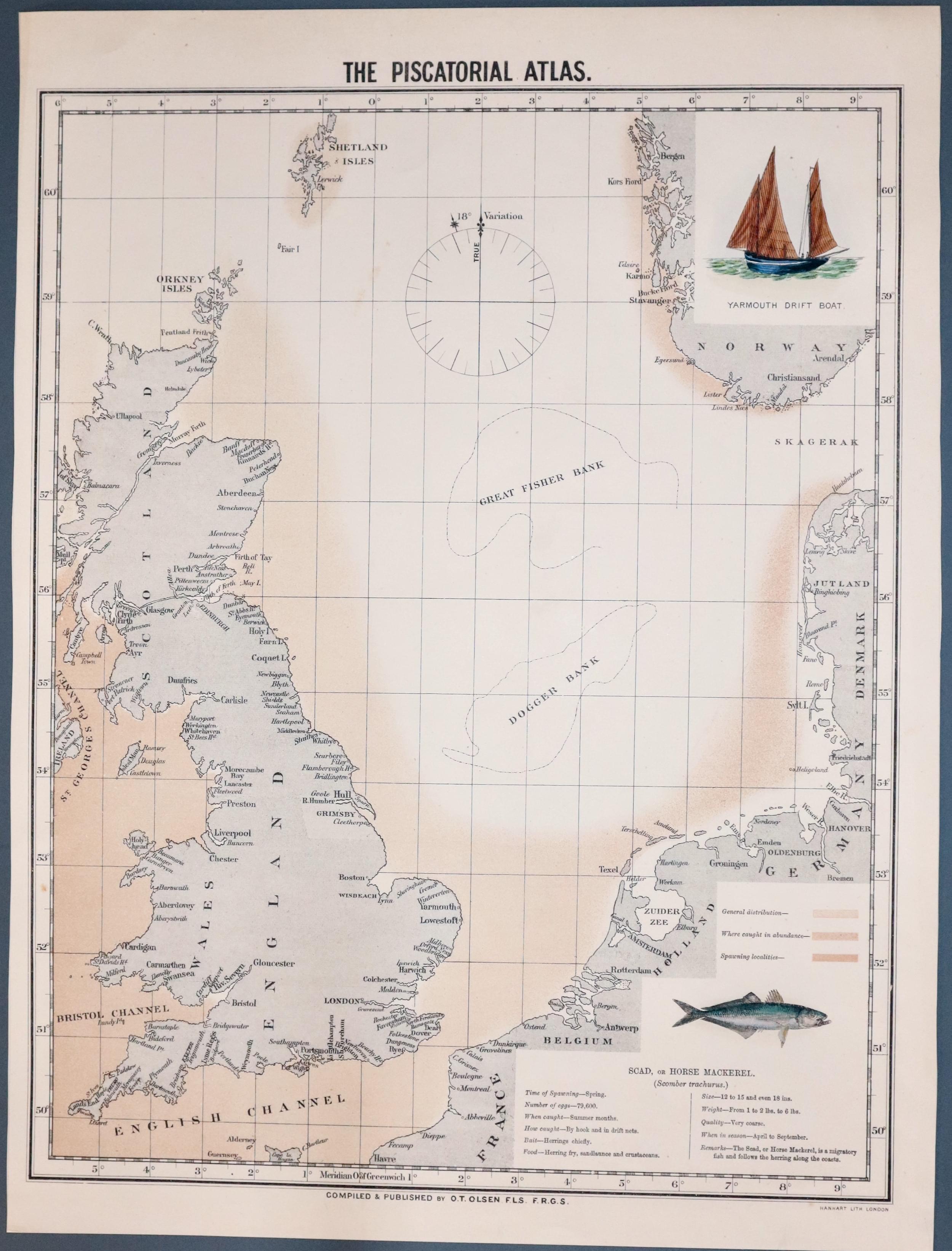 Scad or Horse Mackerel map by O. T. Olsen 1883