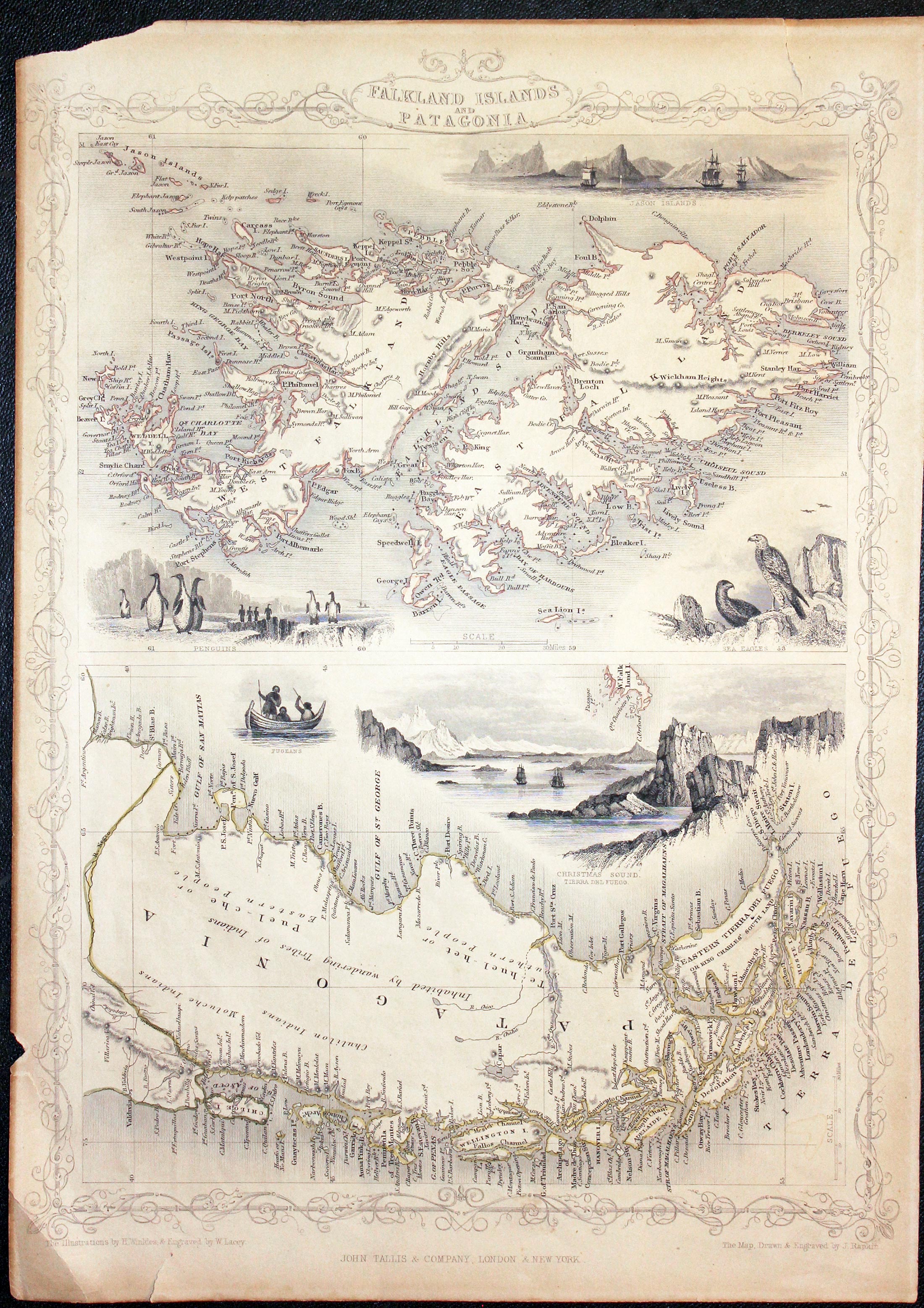 Falkland Islands and Patagonia, John Tallis 1851  Falkland Islands and Patagonia, John Tallis 1851