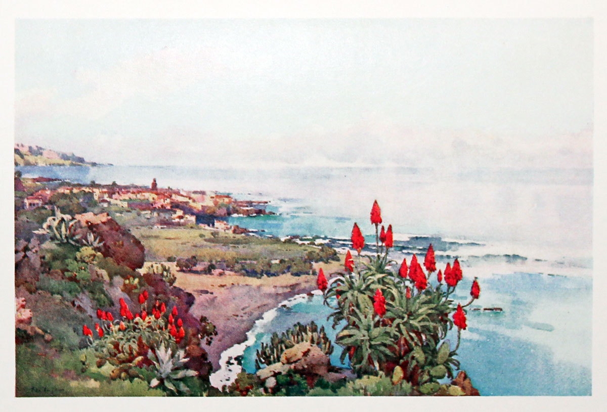 Plate 8 Puerto Orotava