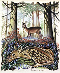 Deer watercolour by David Pratt