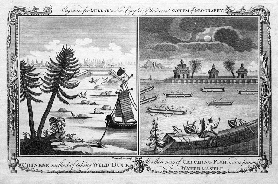 Catching Ducks in China