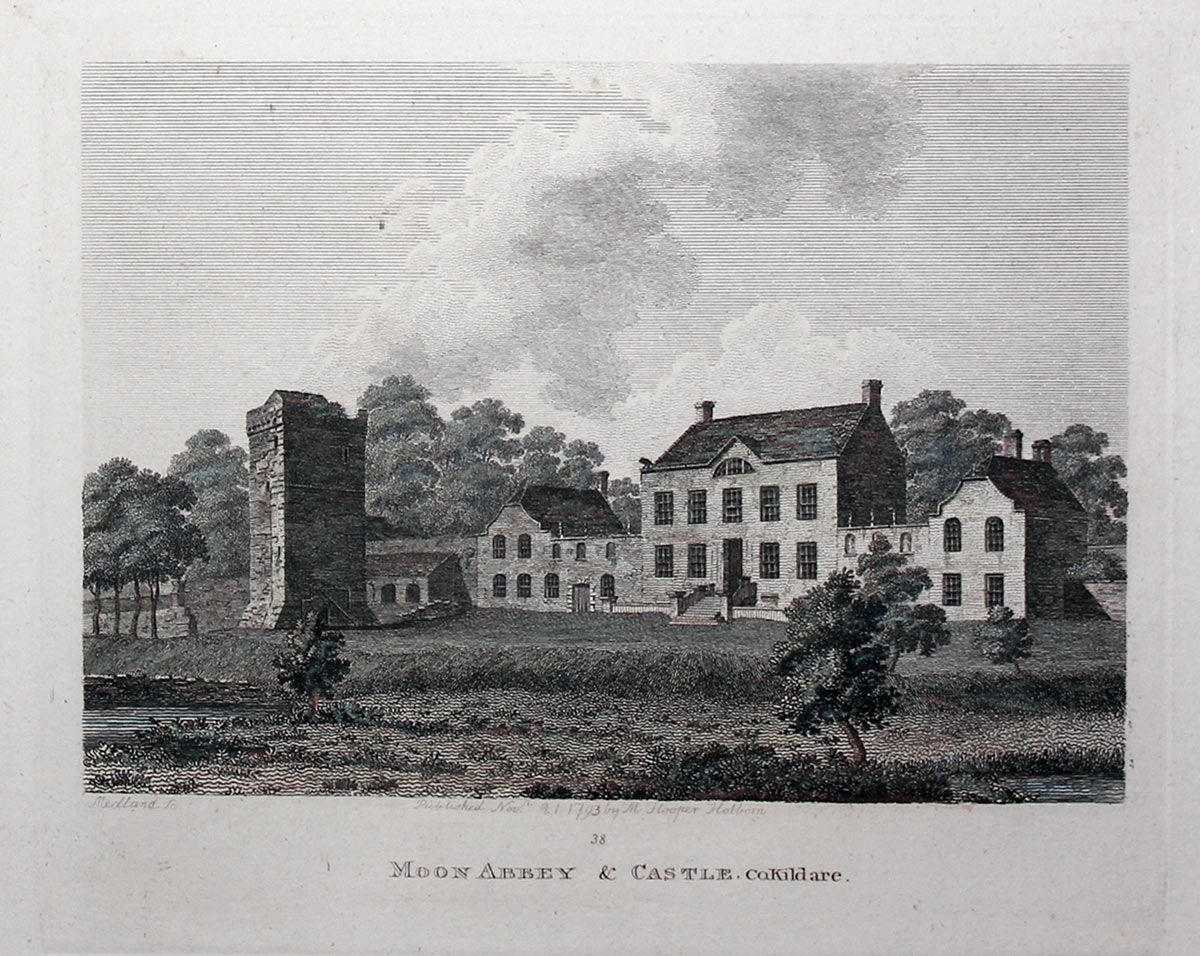 Moon Abbey and Caste County Kildare Ireland