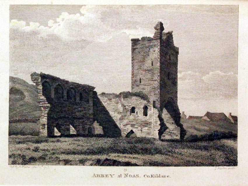 Abbey at Naos County Kildare