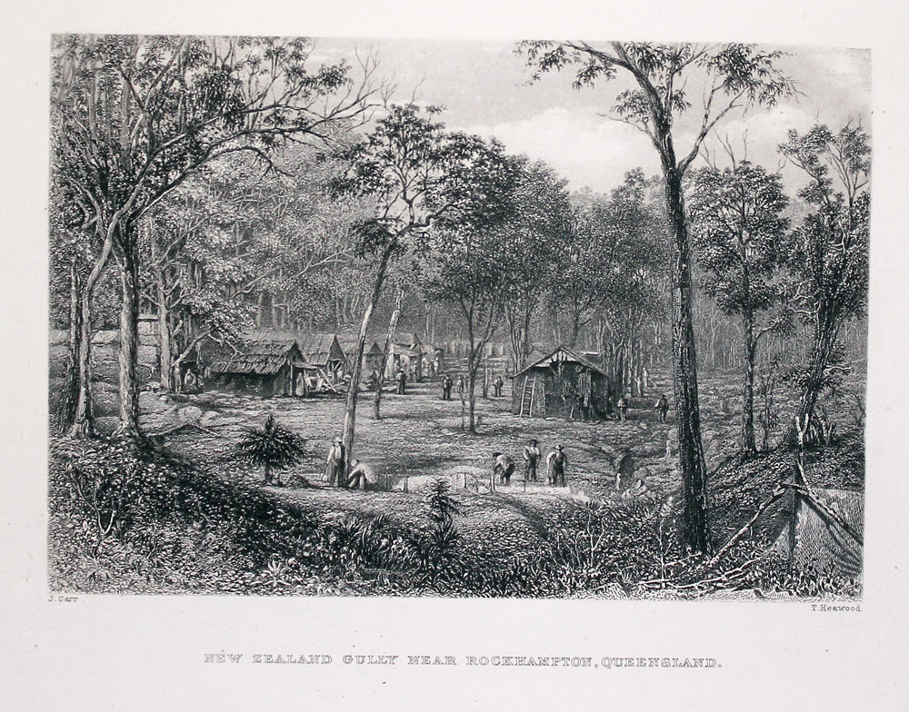 Gully near Rockampton, Queensland