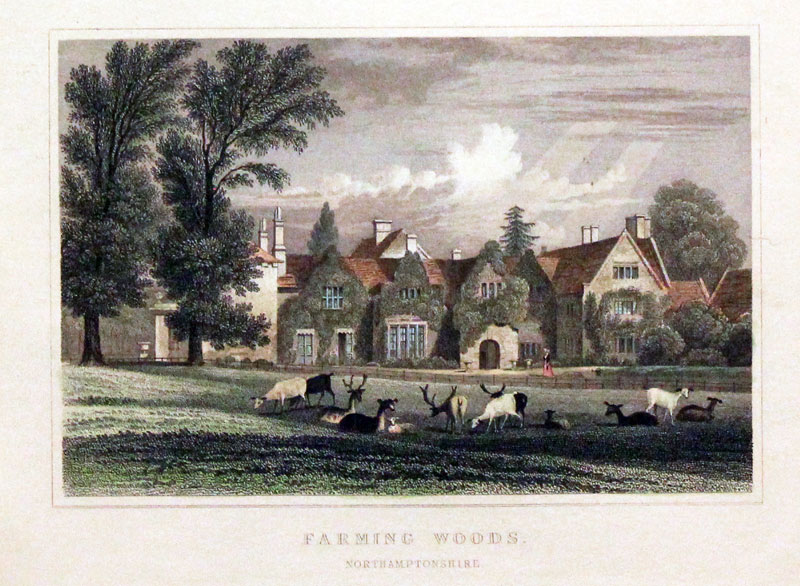 Farming Woods Northamptonshire  Farming Woods Northamptonshire