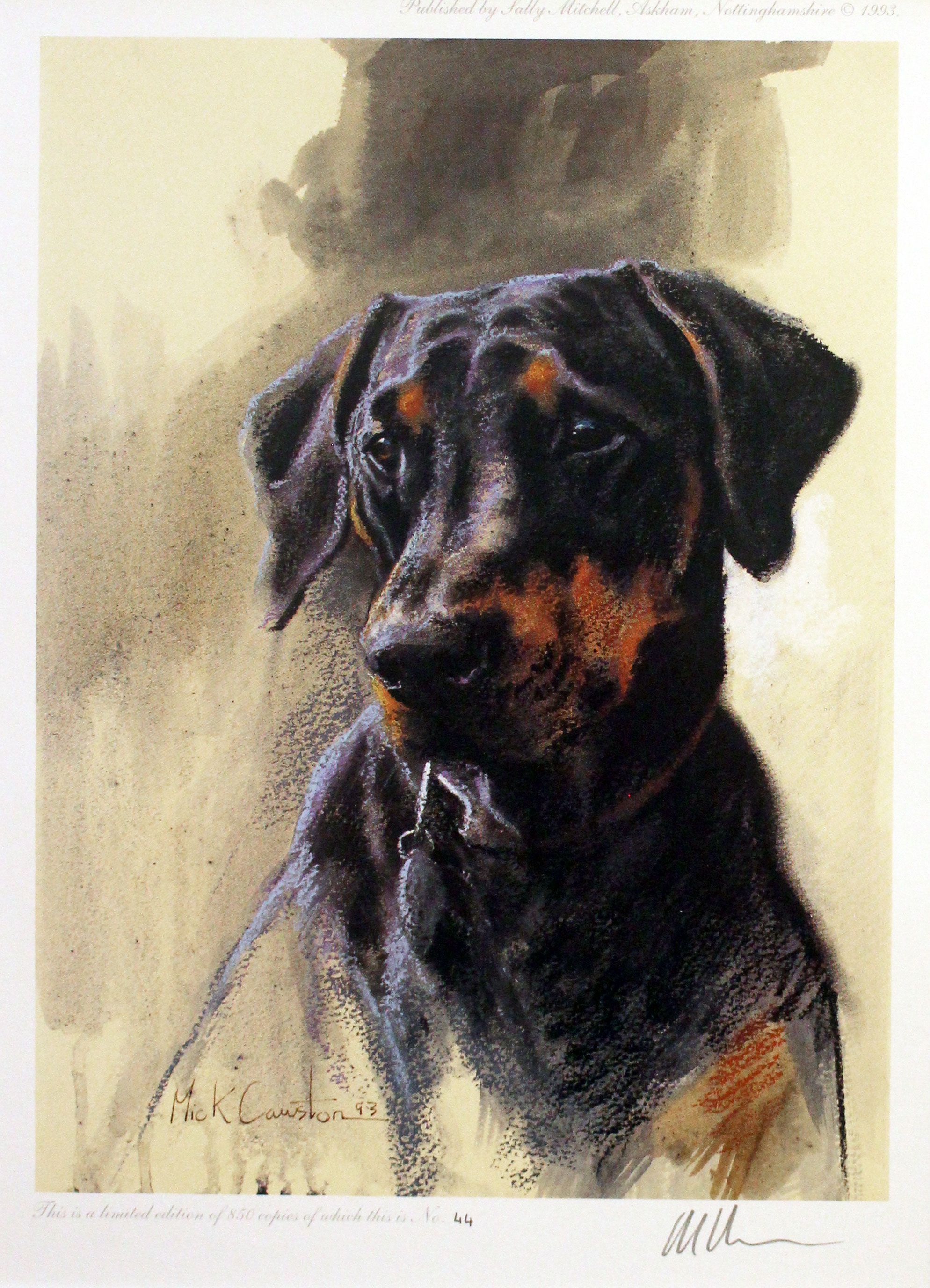 Doberman by Mike Cawston  Doberman by Mike Cawston