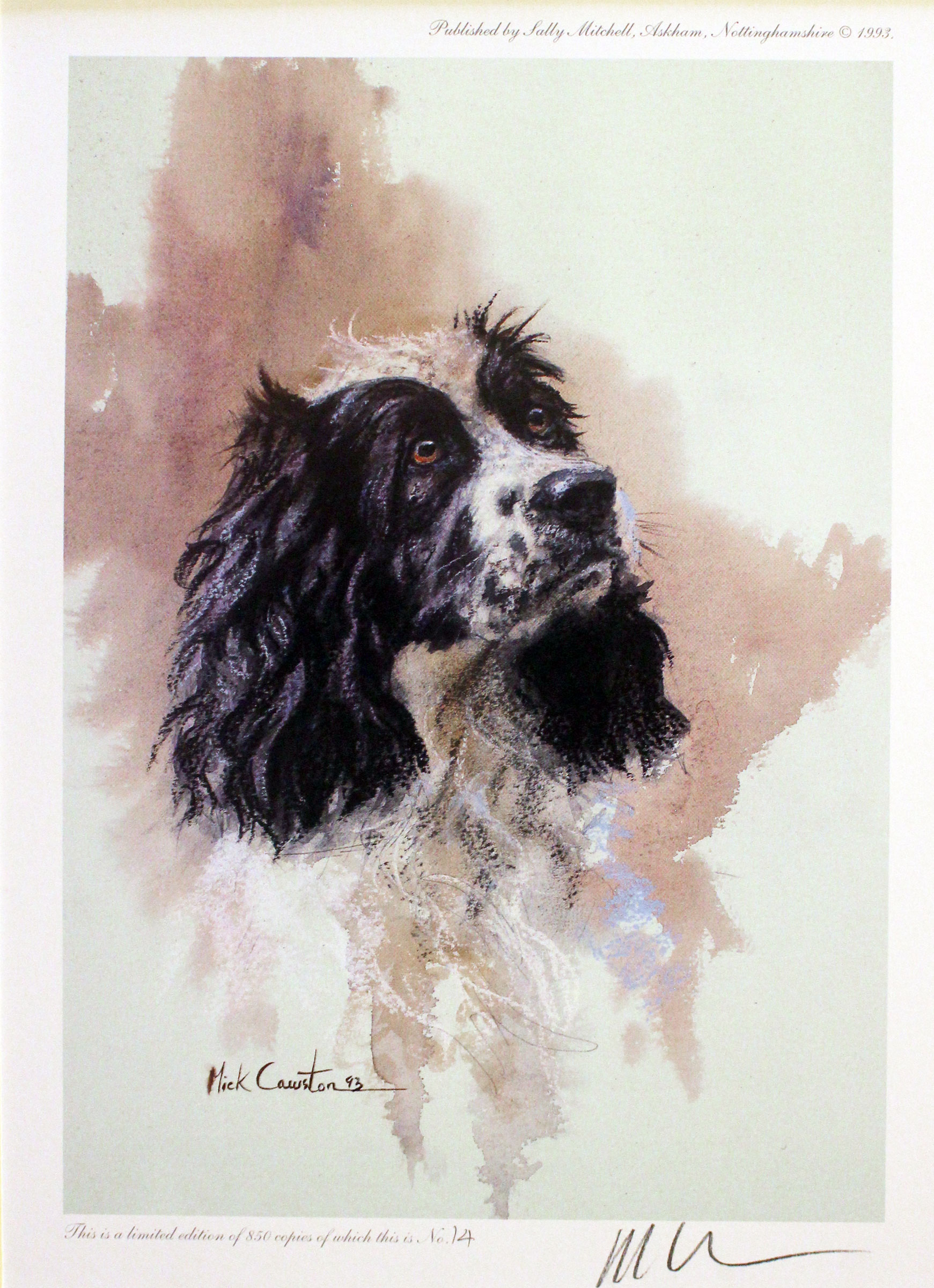 Cocker Spaiel by Mike Cawston  Cocker Spaiel by Mike Cawston