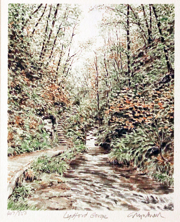 Lydford Gorge Devonshire by Glyn Martin  Lydford Gorge Devonshire by Glyn Martin