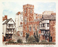 St. Mar Steps Exeter Devonshire by Glyn Martin