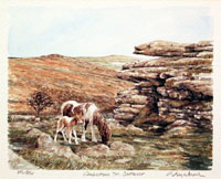Combstone Tor Devonshire by Glyn Martin
