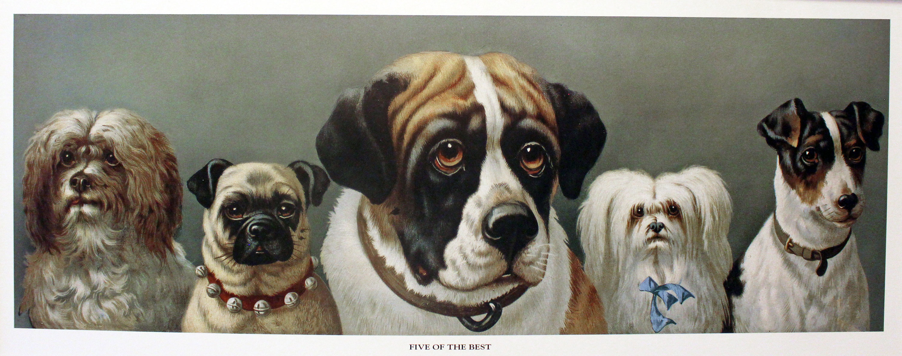 Five of the Best by Louis Wain  Five of the Best by Louis Wain