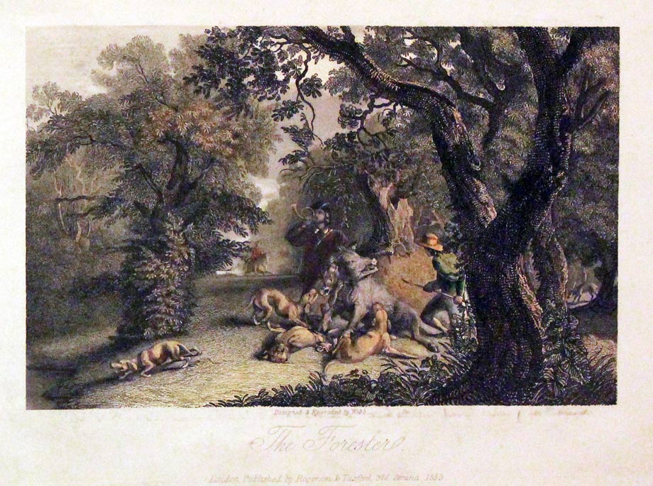 The Forester  The Forester