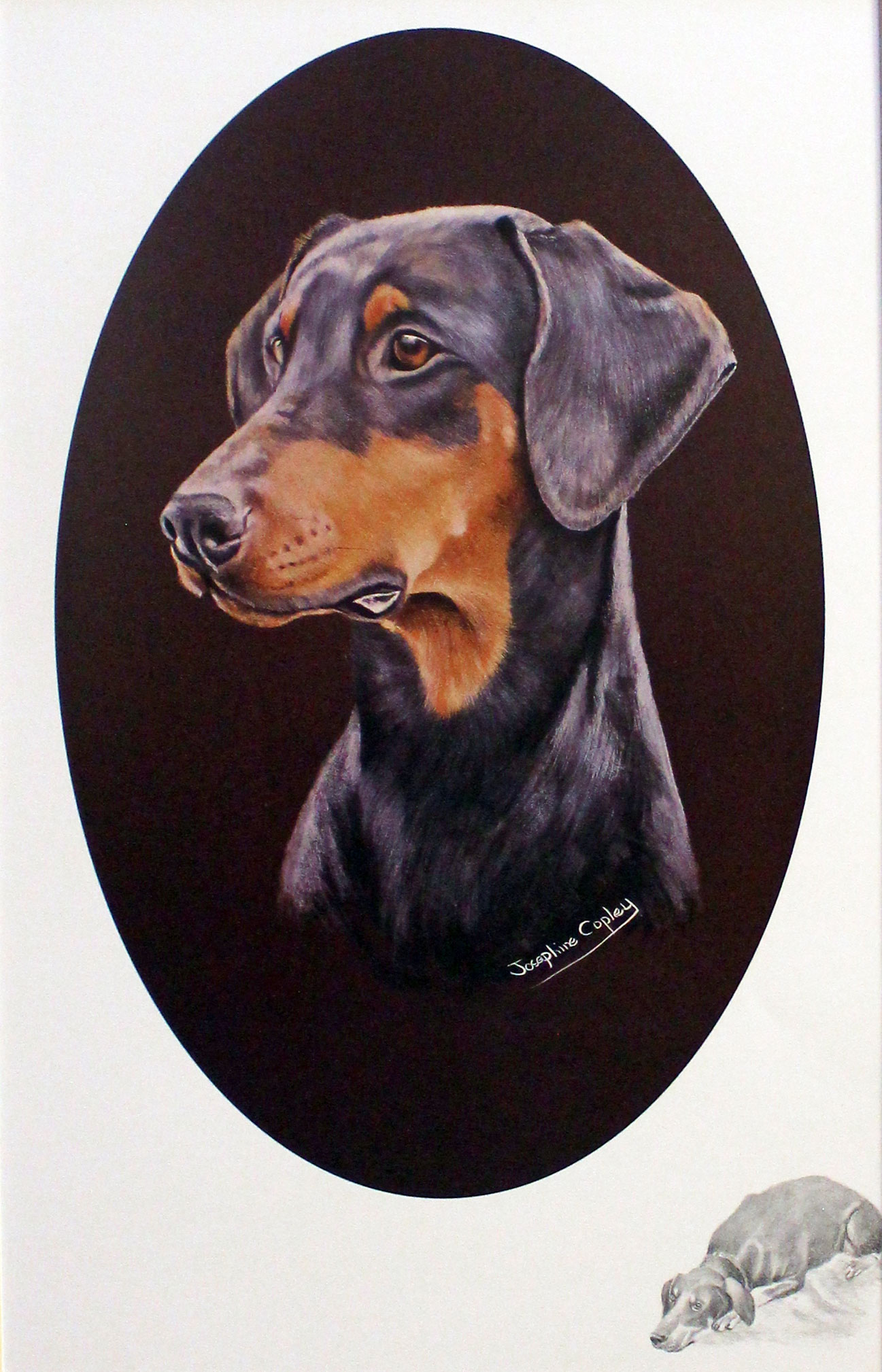 Dobermann by Josephine Copley  Dobermann by Josephine Copley
