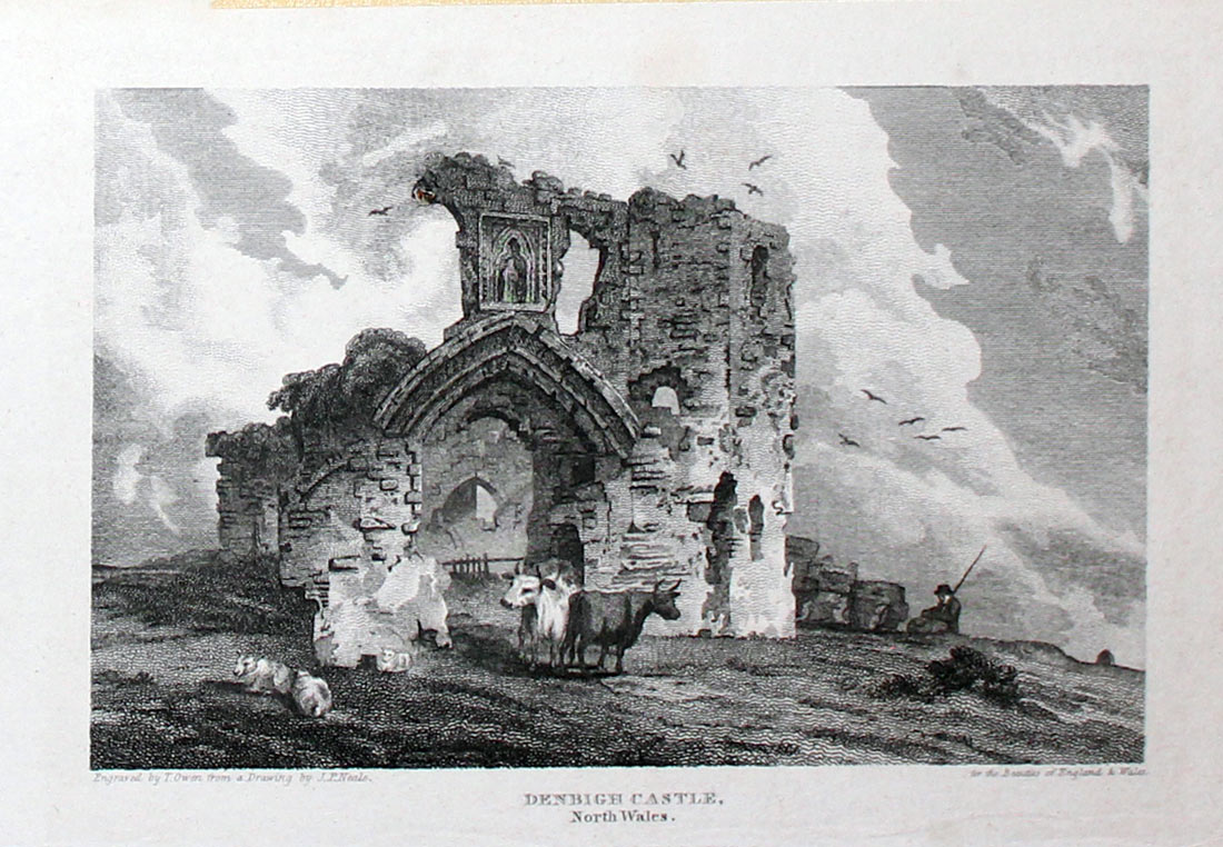 Denbigh Casrte by J. P. Neale