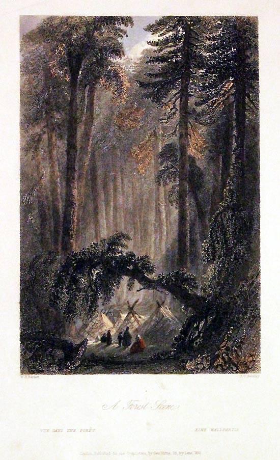 A Forest Scene, Canada by W. H. Bartlett