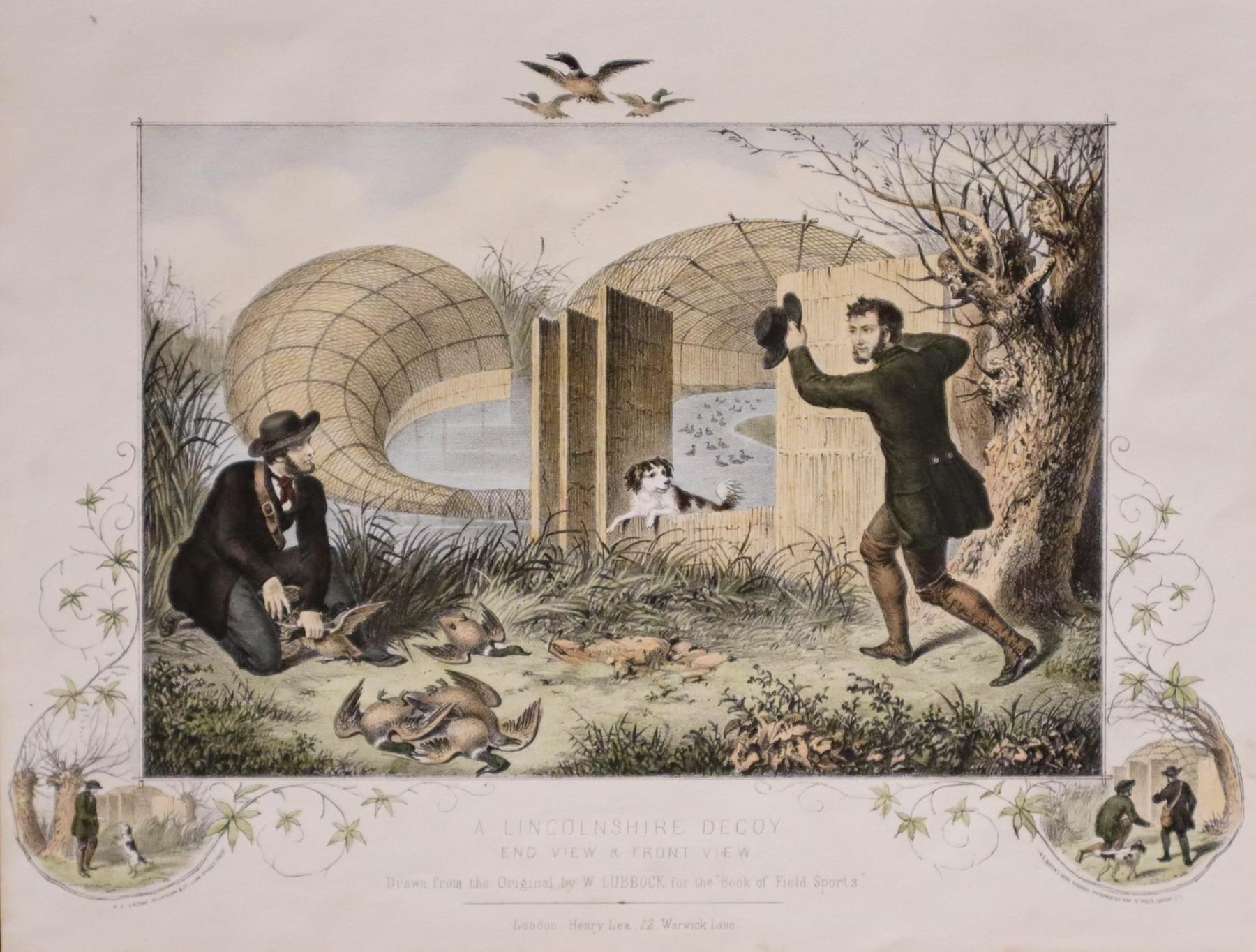 A Lincolnshire Decoy  A Lincolnshire Decoy