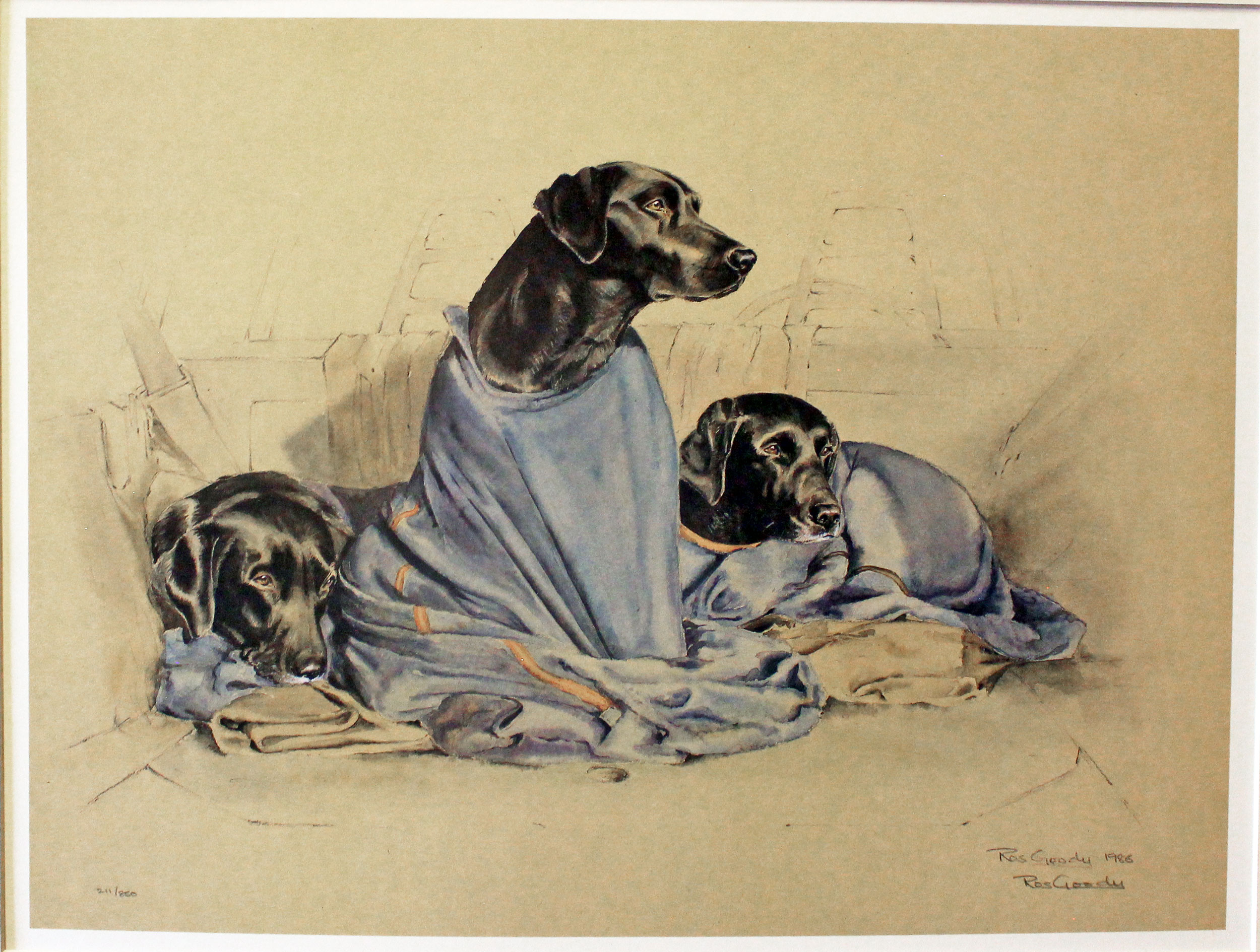 Warm and Dry by Ross Goody  Warm and Dry by Ross Goody