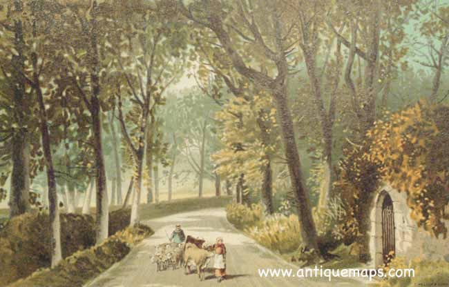 Vinchelez Lane Jersey