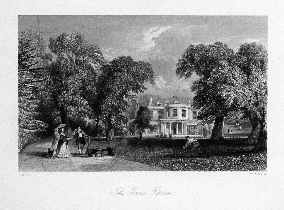 The Grove Epsom Surrey  The Grove Epsom Surrey