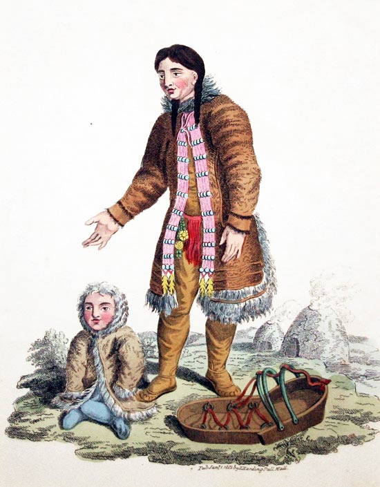 A Female Samoyede in Her Summer Dress  A Female Samoyede in Her Summer Dress