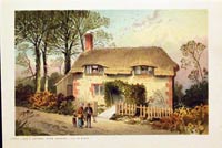Cottage near Brading Isle of Wight