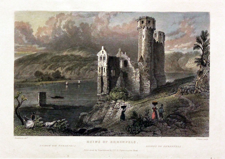 Ruins of Ehrenfels on the Rhine  Ruins of Ehrenfels on the Rhine