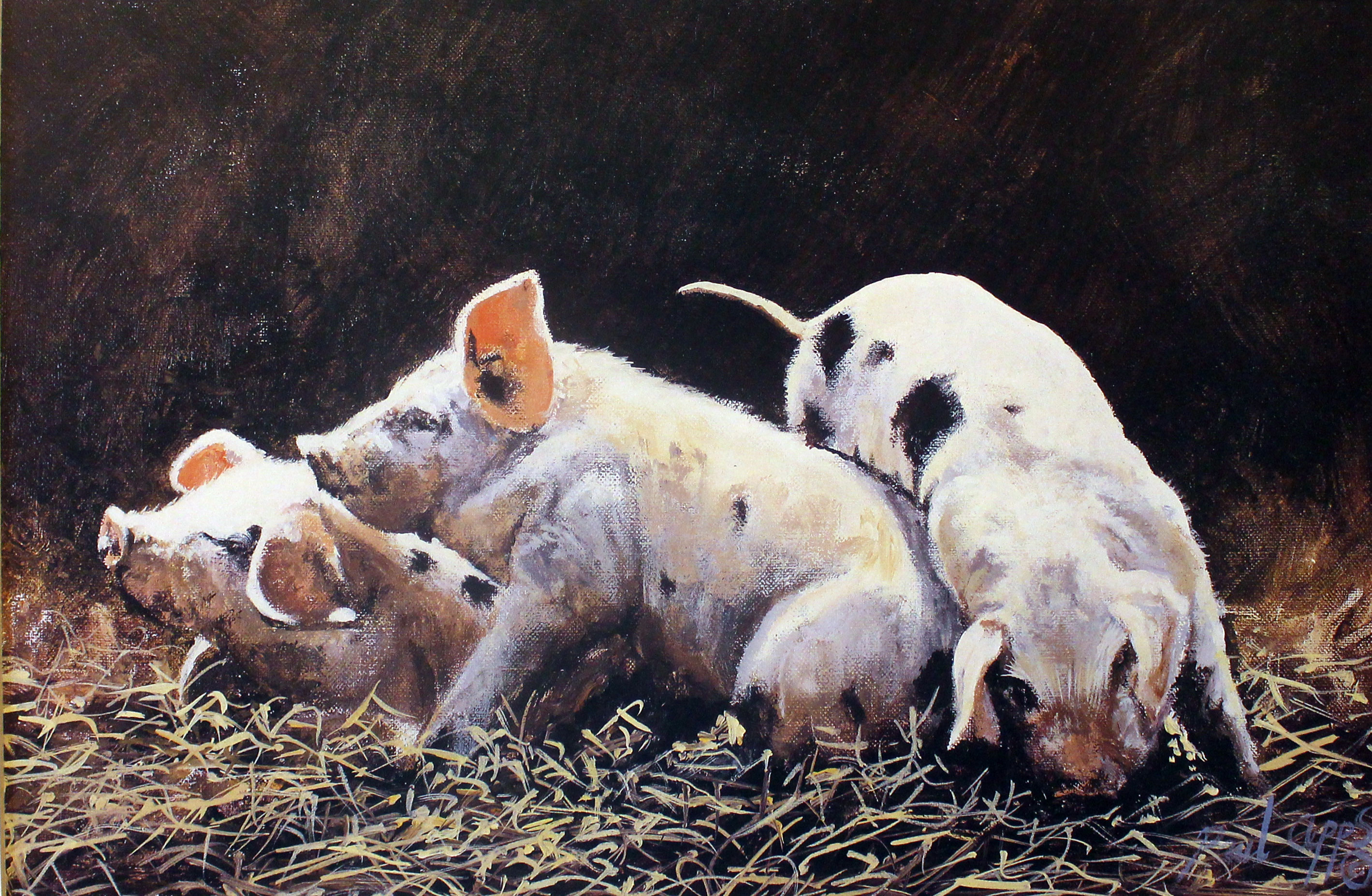 Peacock Shooting by Edward Orme  Peacock Shooting by Edward Orme