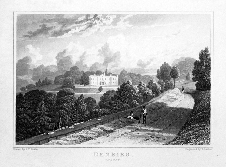 Denbies, Surrey