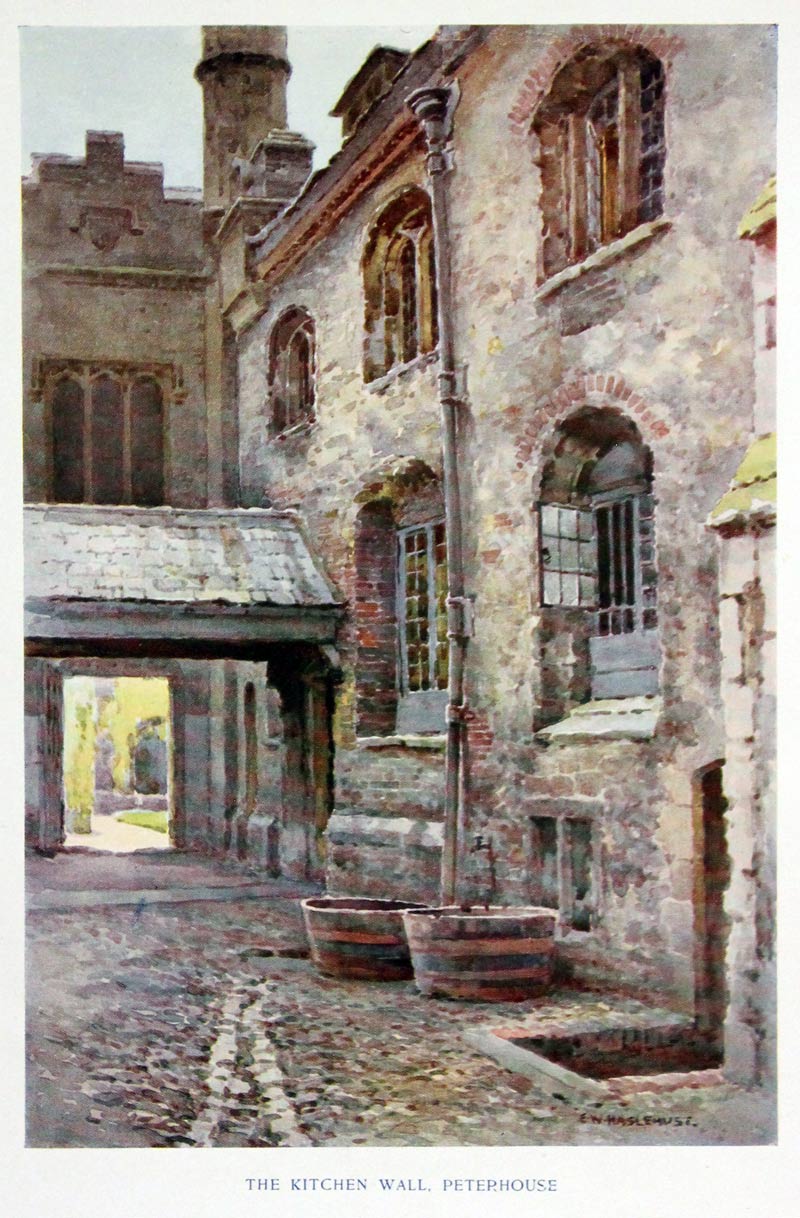 The Kitchen Wall, Peterhouse