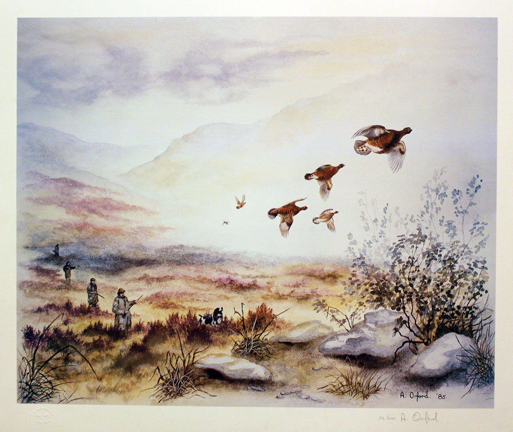 Into the Mist by Anthony Orford  Into the Mist by Anthony Orford