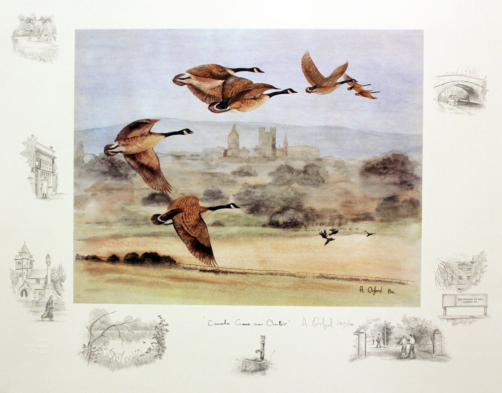 Canada Geese Over Chester by Anthony Orford  Canada Geese Over Chester by Anthony Orford