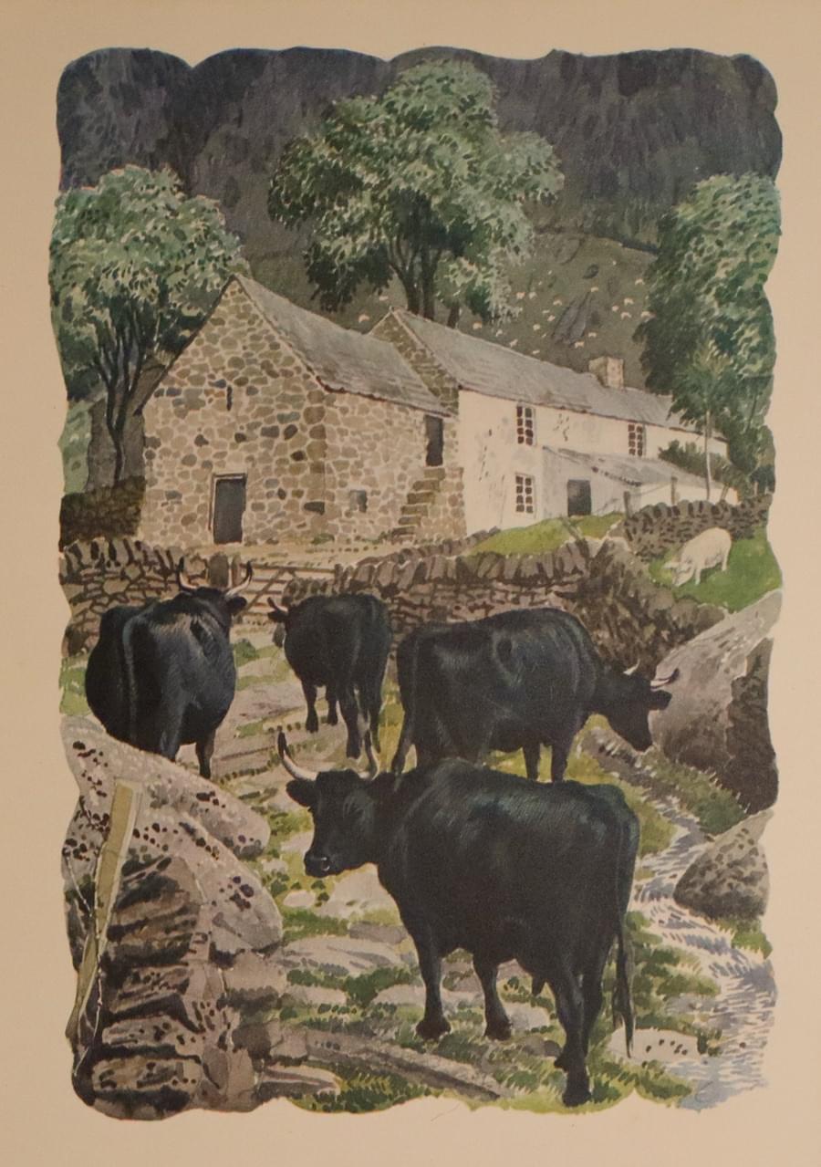 Welsh Hill Farm, Charles F Tunnicliffe 1949