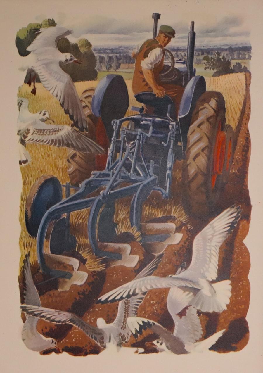 A Modern Ploughman, Charles F Tunnicliffe 1949