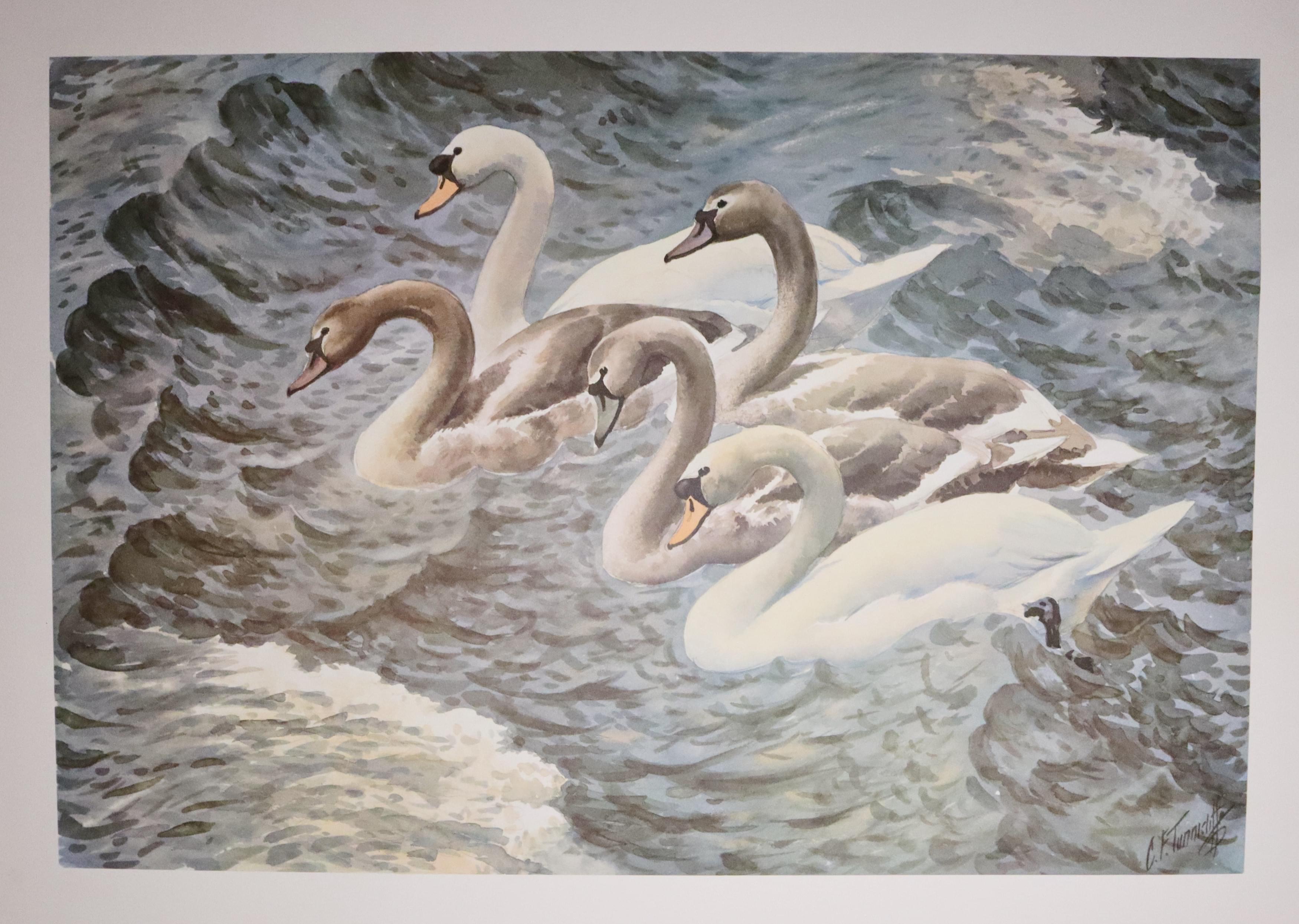 Winter Estuary by Charles Tunnicliffe