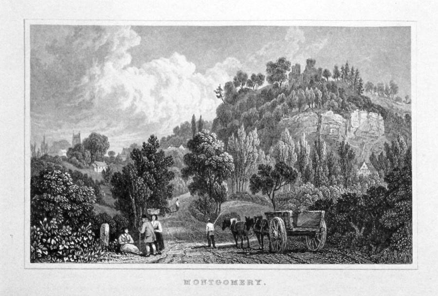 Montgomery, Henry Gastineau  Montgomery, Henry Gastineau